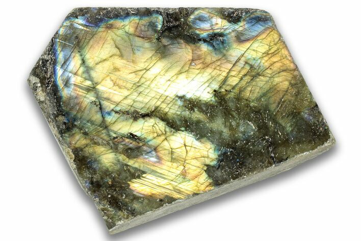 Single Side Polished Labradorite Section - Madagascar #324659